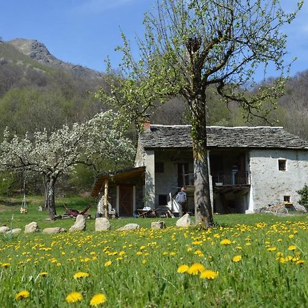 Countryrooms Valchiusella Vico Canavese エクステリア 写真