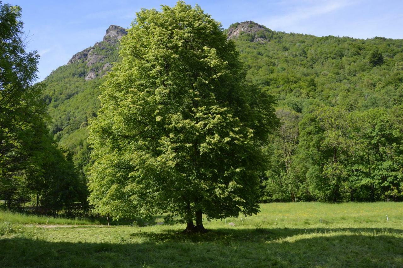 Countryrooms Valchiusella Vico Canavese エクステリア 写真