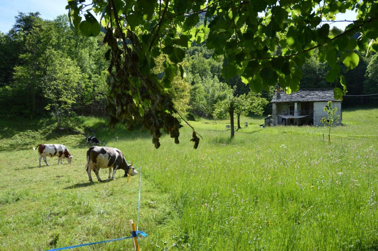 Countryrooms Valchiusella Vico Canavese エクステリア 写真