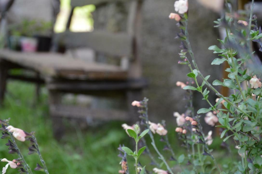 Countryrooms Valchiusella Vico Canavese エクステリア 写真