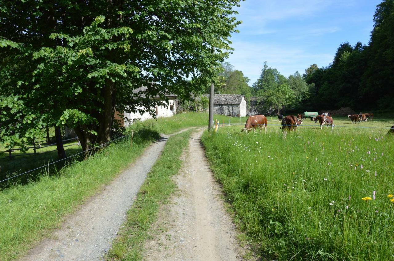 Countryrooms Valchiusella Vico Canavese エクステリア 写真