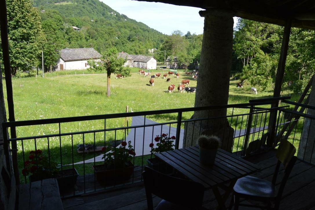 Countryrooms Valchiusella Vico Canavese エクステリア 写真